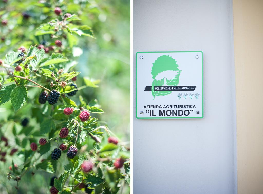 パルマ Agriturismo Il Mondoゲストハウス エクステリア 写真