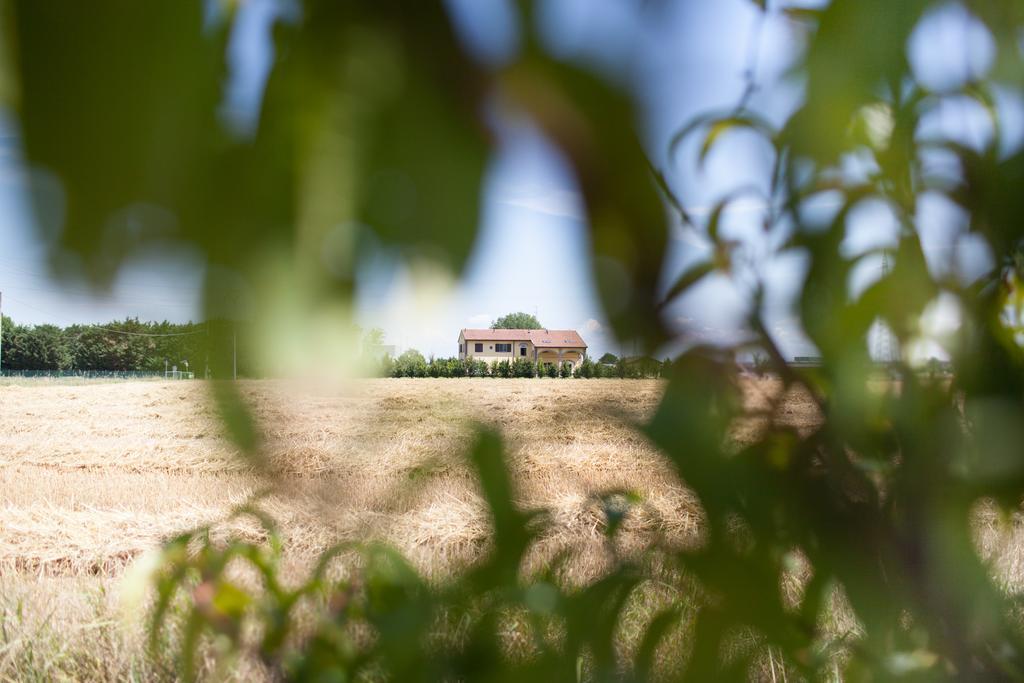 パルマ Agriturismo Il Mondoゲストハウス エクステリア 写真